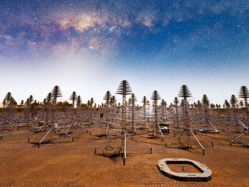 The SKA project in Australia