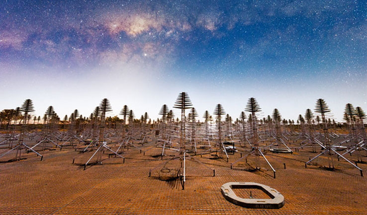 The SKA project in Australia