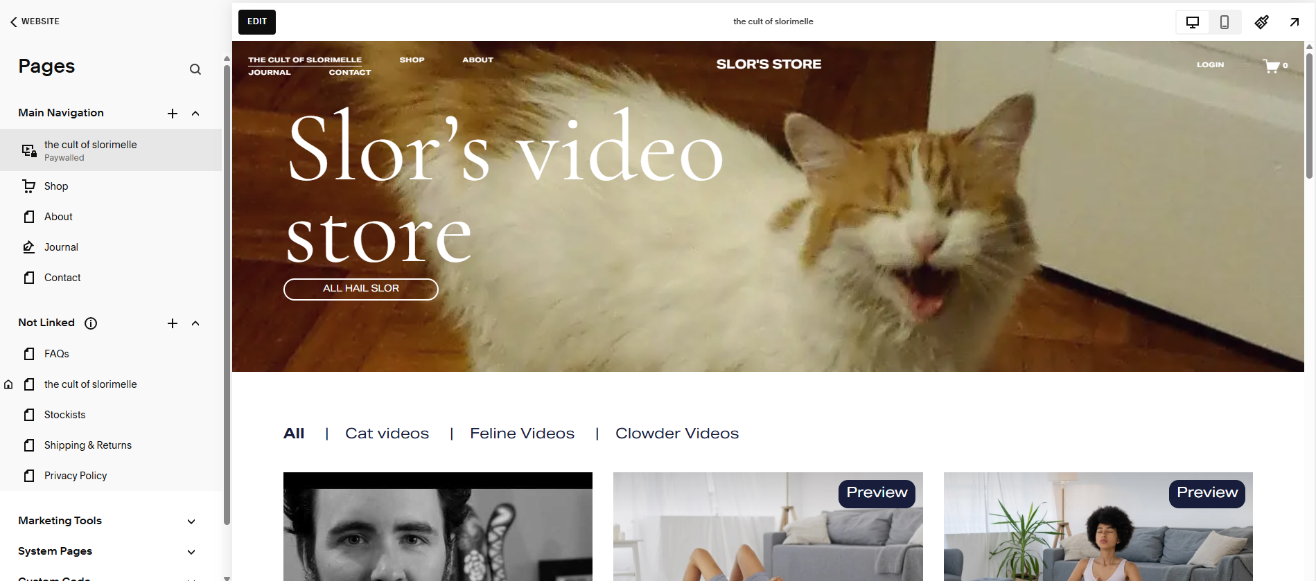 A screenshot of Squarespace’s video paywall. 