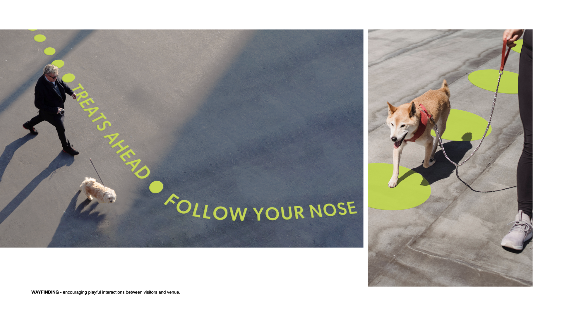 Page from Isabella Aktinson's portfolio showing Cruft's wayfinding