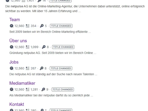 netpulse AG Advances AI-Powered Advertising Solutions for Switzerland's Digital Marketing Sector