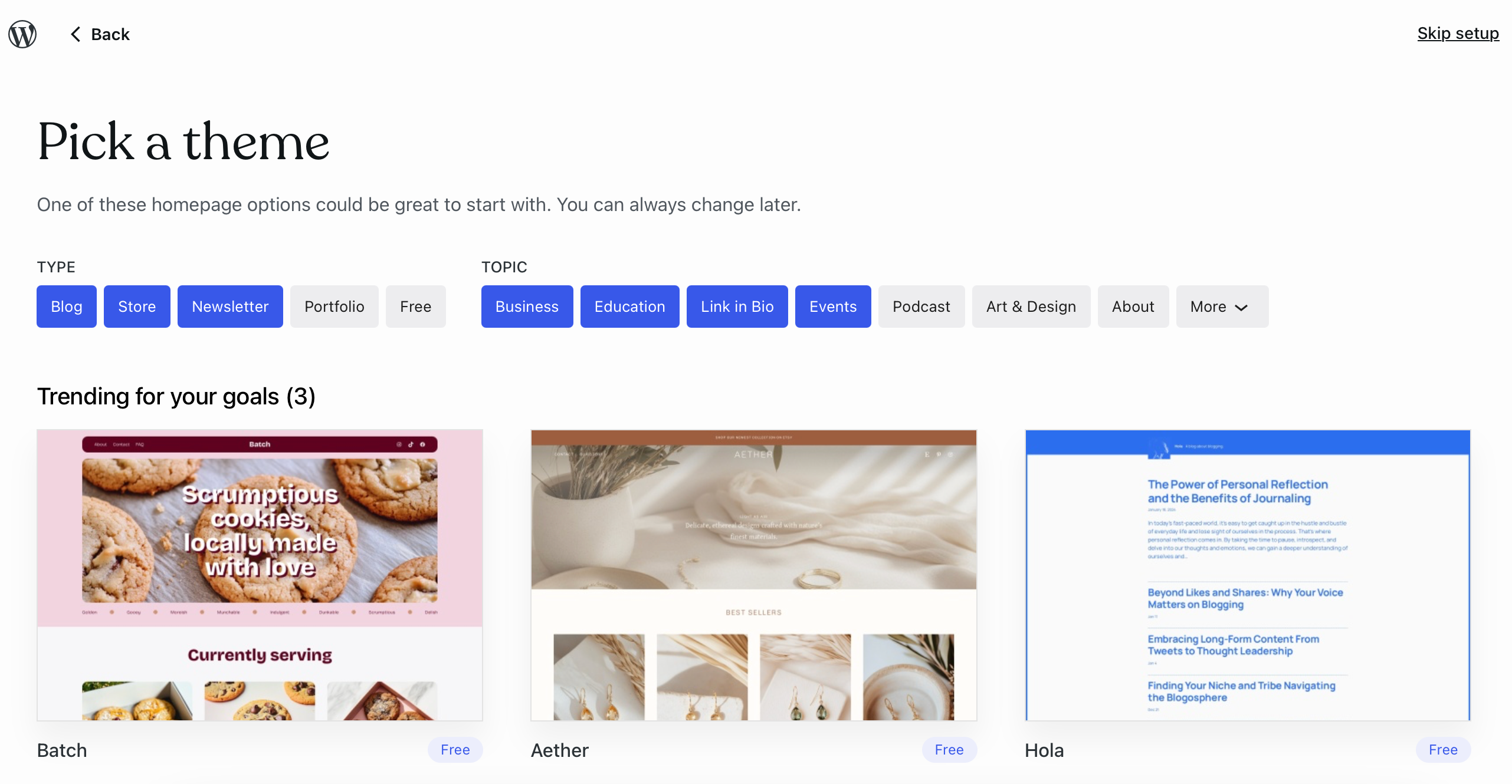 Selecting a theme for All About Cookies WordPress review