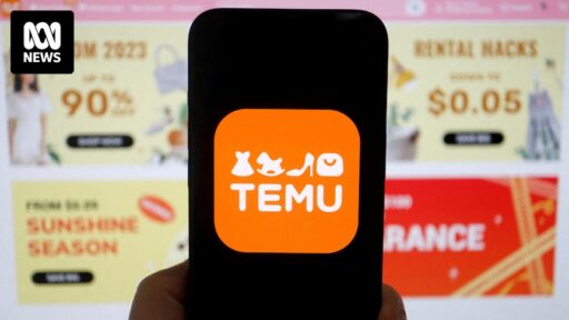 Shein and Temu are unstoppable forces in online retail. Are Australian businesses under threat?