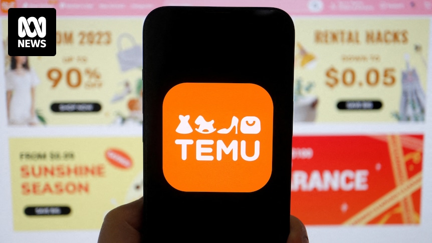 Shein and Temu are unstoppable forces in online retail. Are Australian businesses under threat?