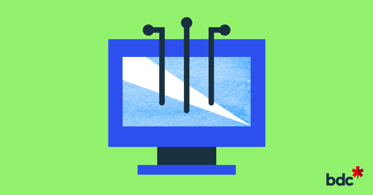 Your web developer–Avoid being held hostage