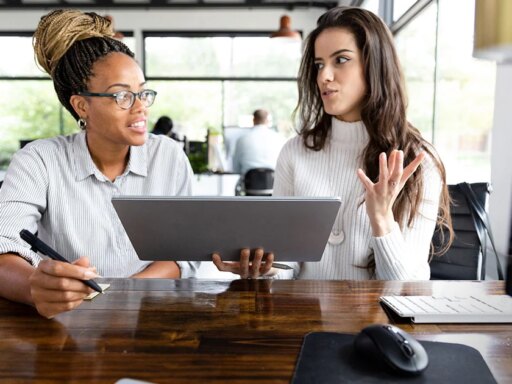 Website creation: Free / low-cost options