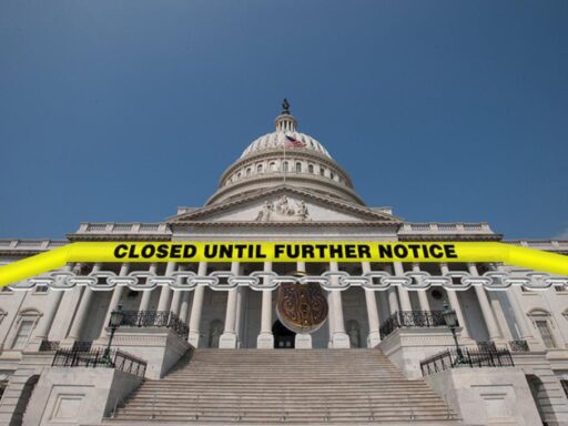 When Government Websites Become Campaign Tools