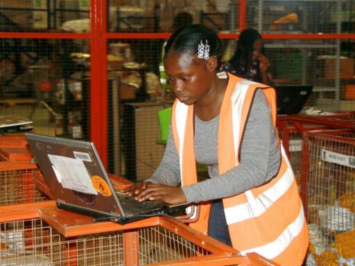 Africa sees rise in e-commerce, digital marketplace – DW – 06/09/2024