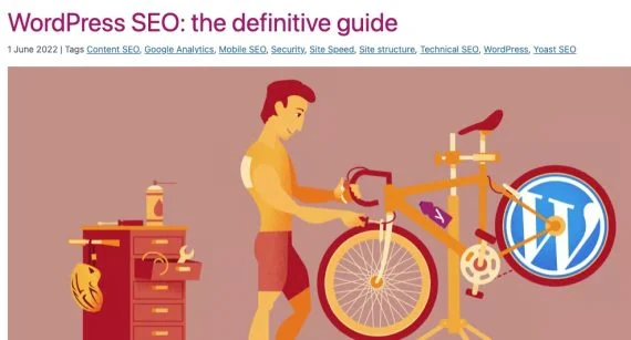 Web page for Yoast's WordPress SEO guide