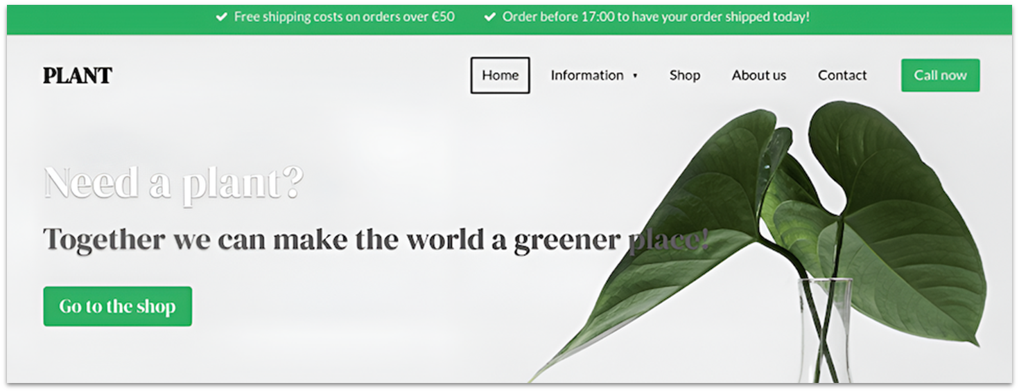 Webador's plant online shop template, showing a plant in a glass vase.