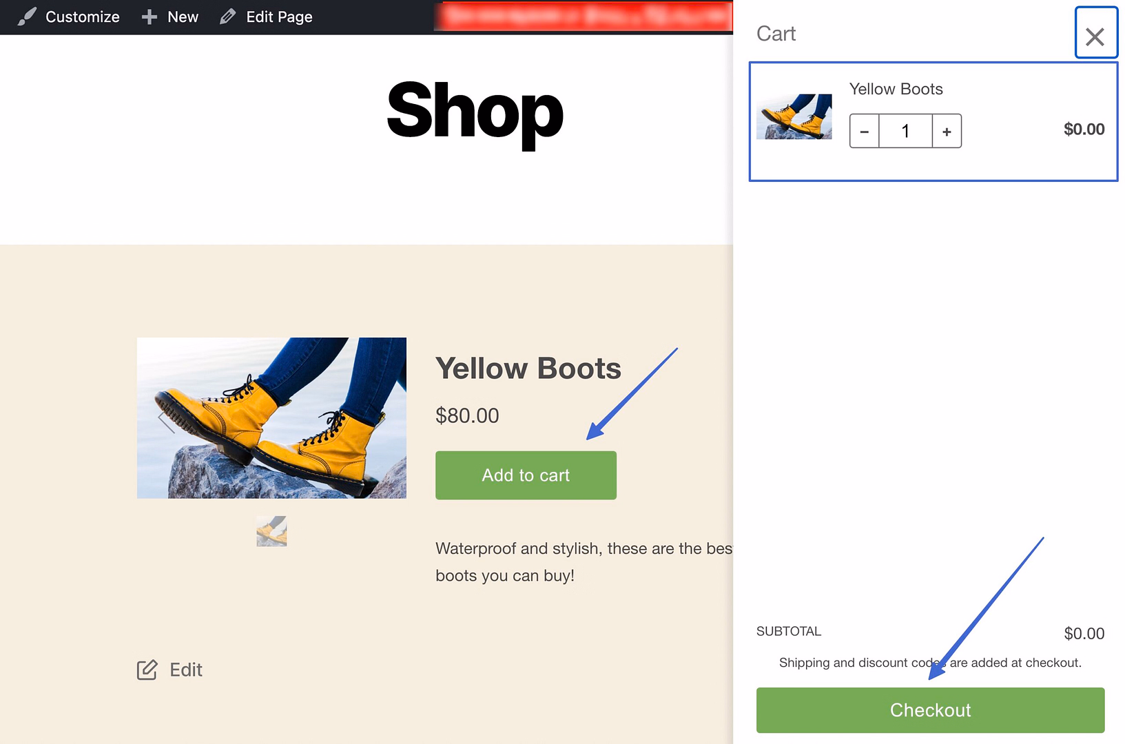 clicking through the checkout for the Shopify WordPress integration 