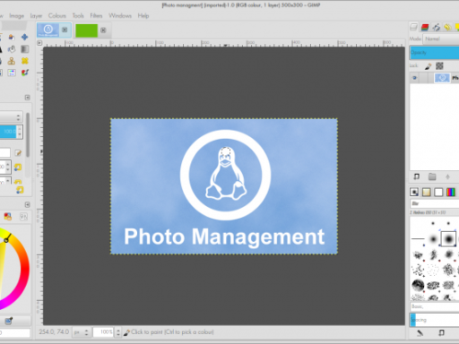 Web Development Tools for Linux & How to Install Them