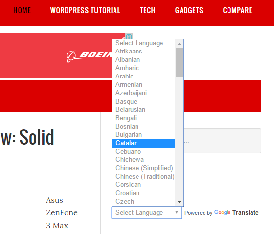 WordPress site translate