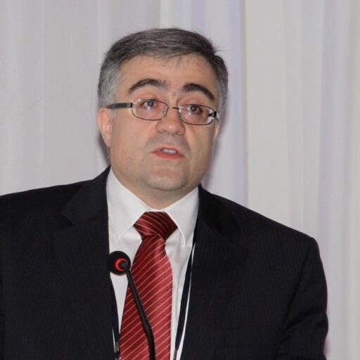 IMF -- Capacity Development at Work: Country Case Studies