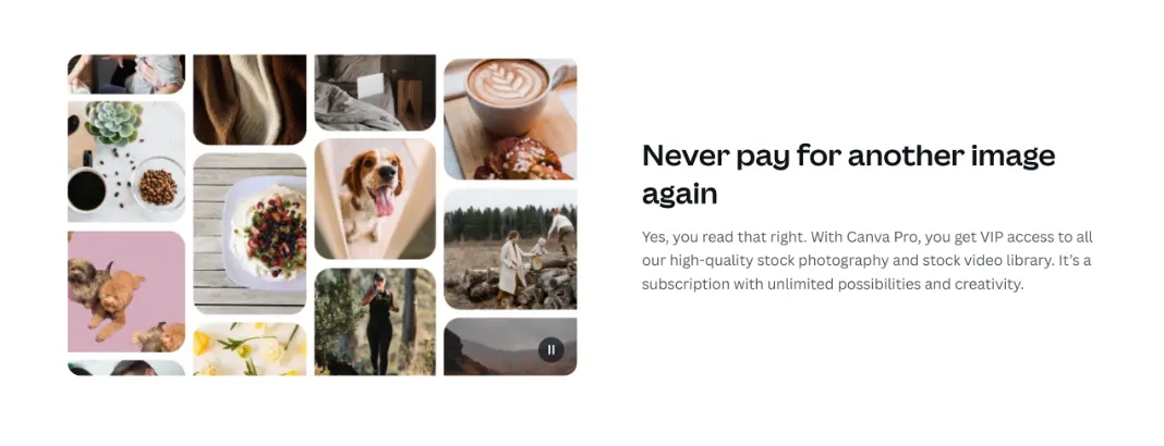 Screenshot of Canva’s image inclusion promo.
