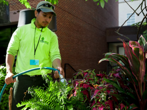 Using case studies to sell landscaping jobs