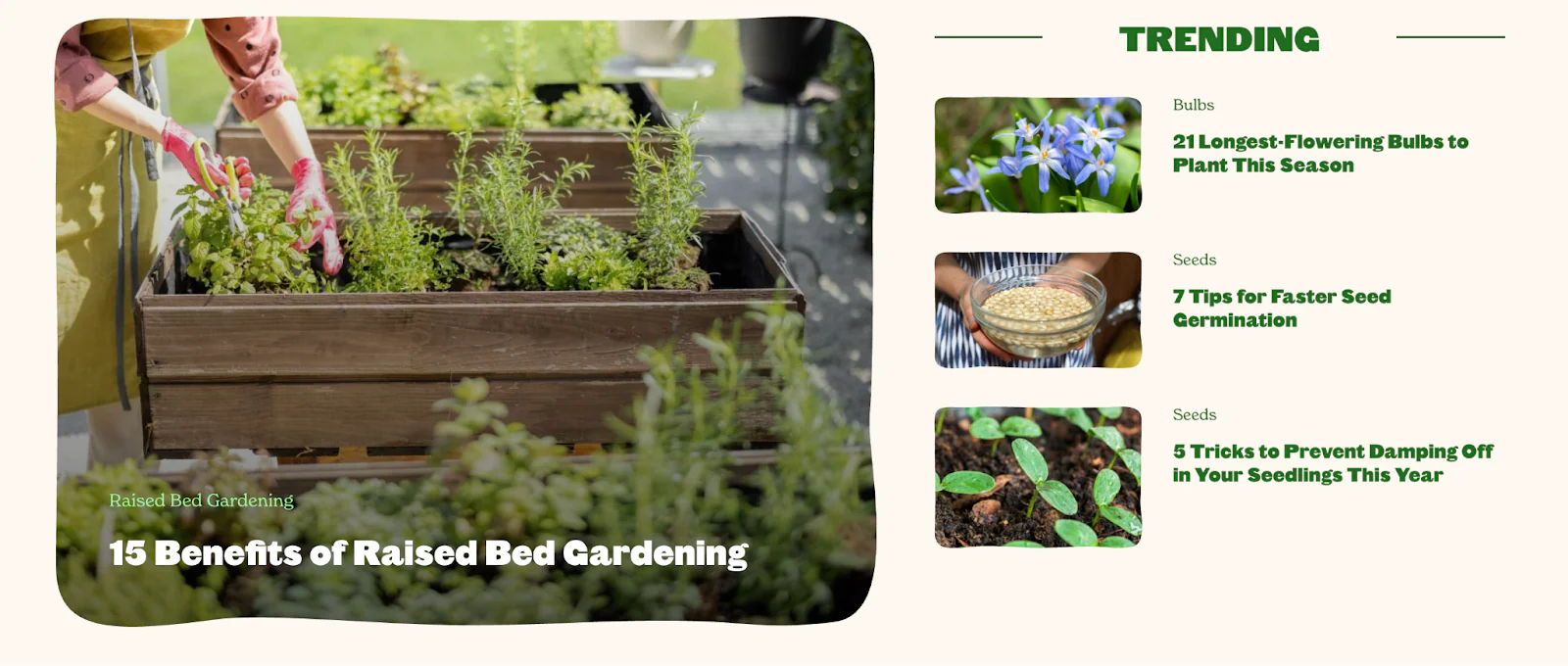 Epic Gardening blog homepage with thumbnails of three trending articles and one featured article.
