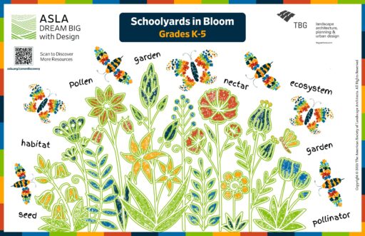 Tools for PreK-12 Teachers | asla.org