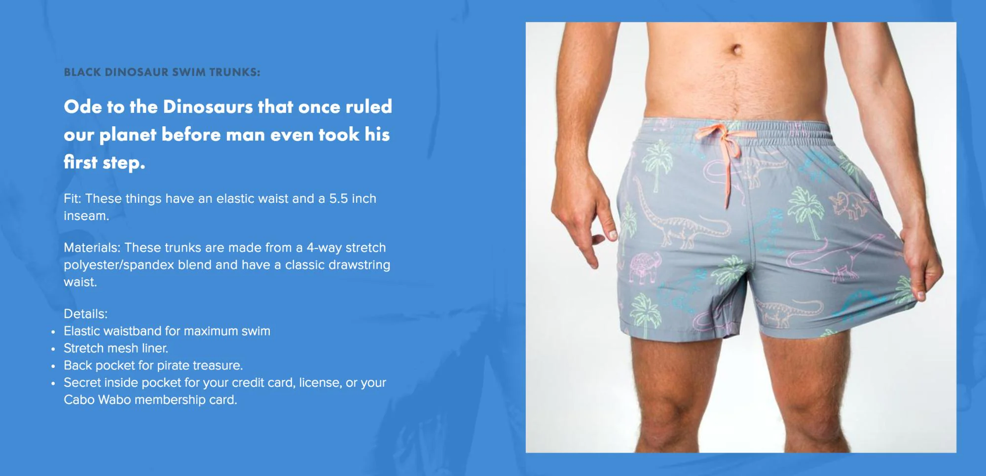 Product page with man wearing gray swim trunks with colorful dinosaur and palm tree print.