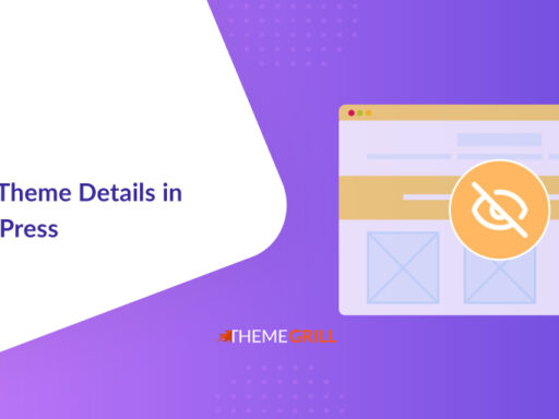 How to Hide Theme Details in WordPress? (5 Simple Methods)