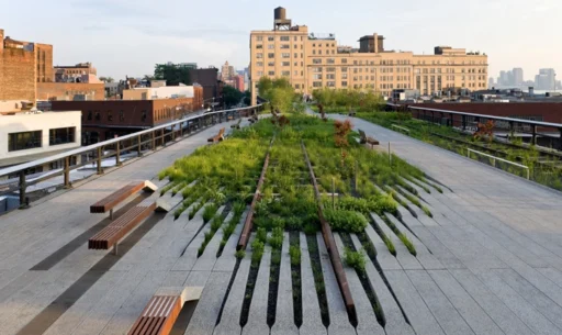 Designing Our Future: Sustainable Landscapes