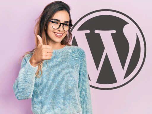 Kinsta WordPress Updater Prevents Failed Plugin Updates