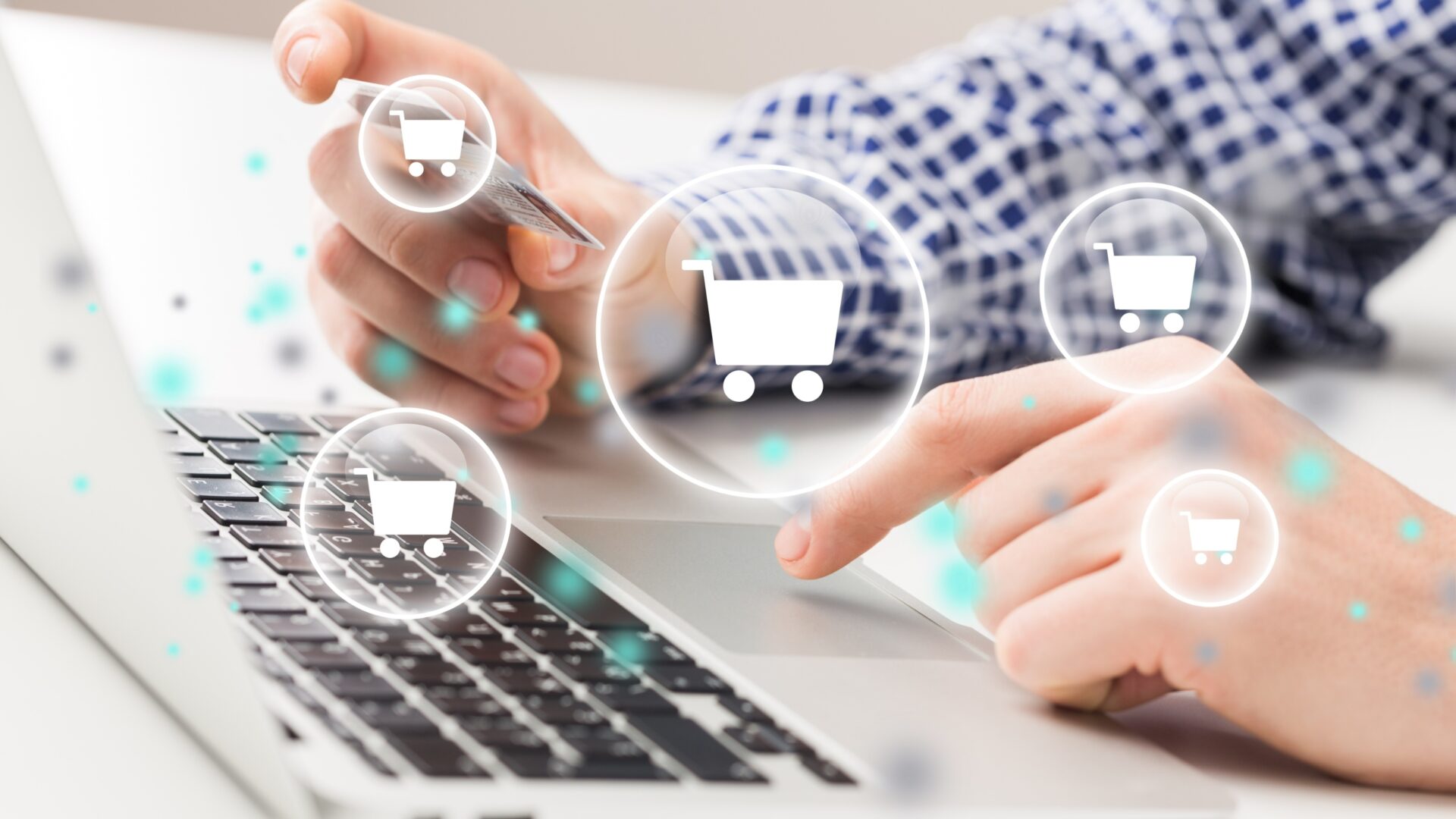 Softies launches first online store as part of Widdop & Co. digital expansion