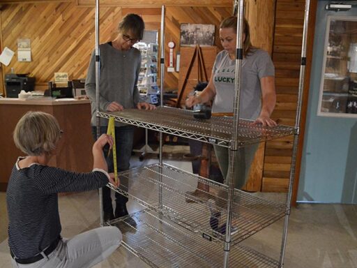 RE-ORG – collection storage reorganization