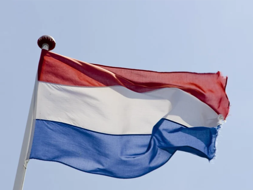 Dutch amount of online stores on the rise