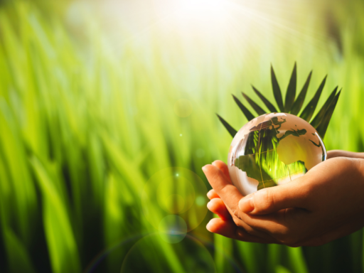 Charity Digital - Topics - How environmentally friendly is your website?