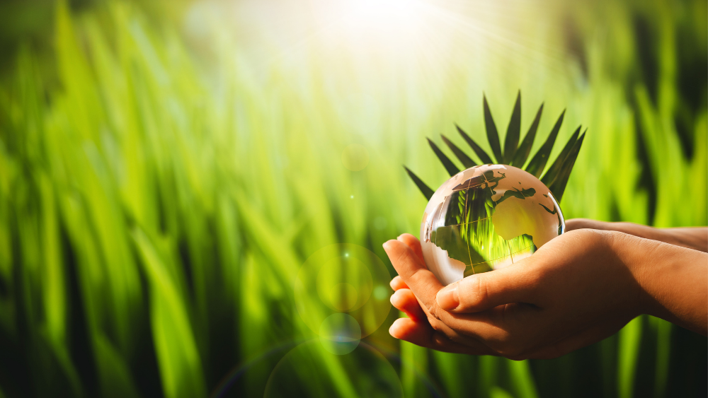 Charity Digital - Topics - How environmentally friendly is your website?