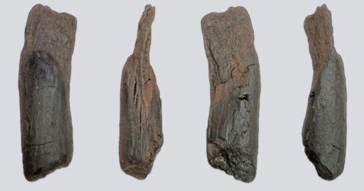 Oldest tool ever found is stick shaped by humans 430,000 years ago