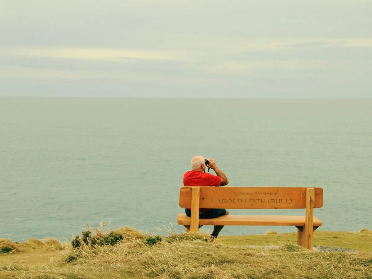 What AI Search Optimization Means for Brand Strategy