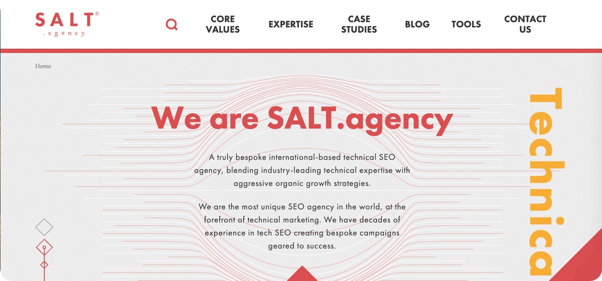 Salt Agency - link to website