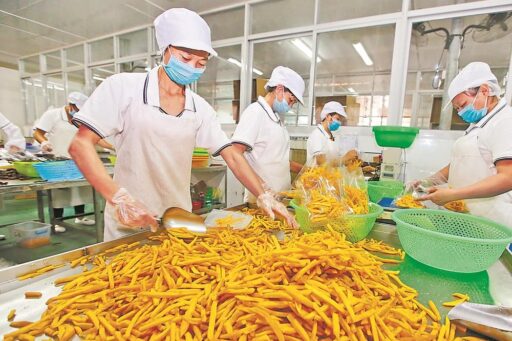 Fujian county sweet on potato biz