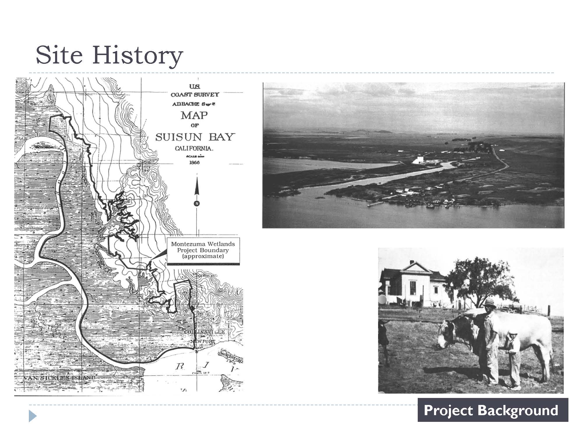 AMF Pinnell PPT_Page_04