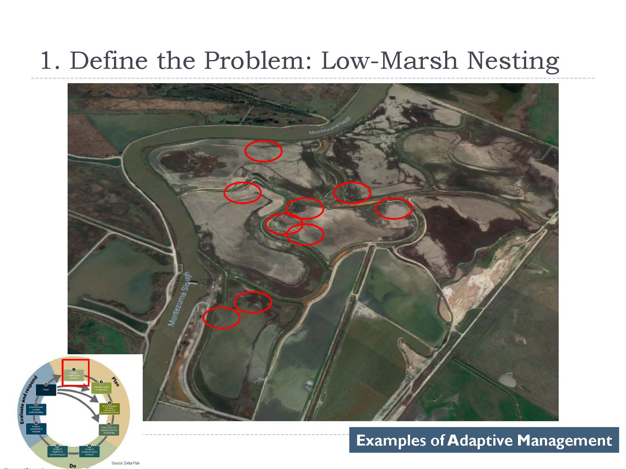 AMF Pinnell PPT_Page_12