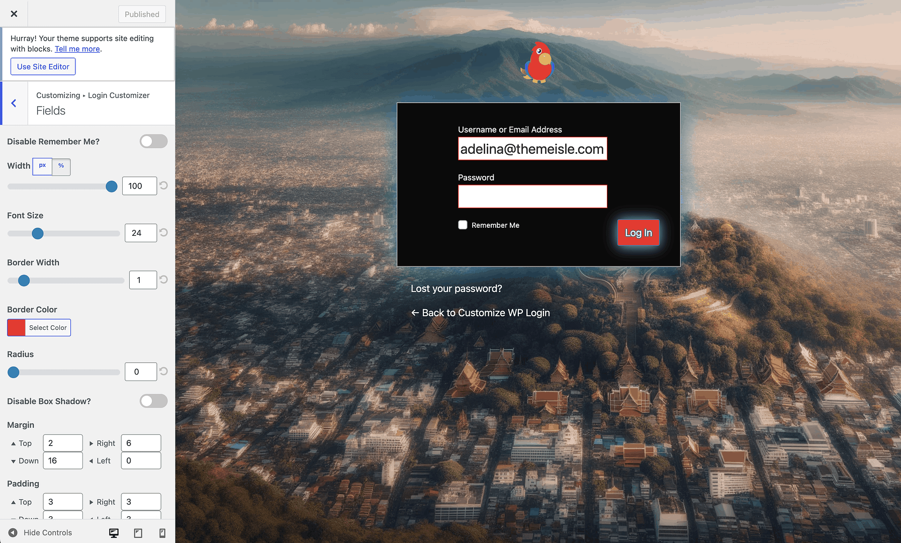 Custom Login Page Customizer result.