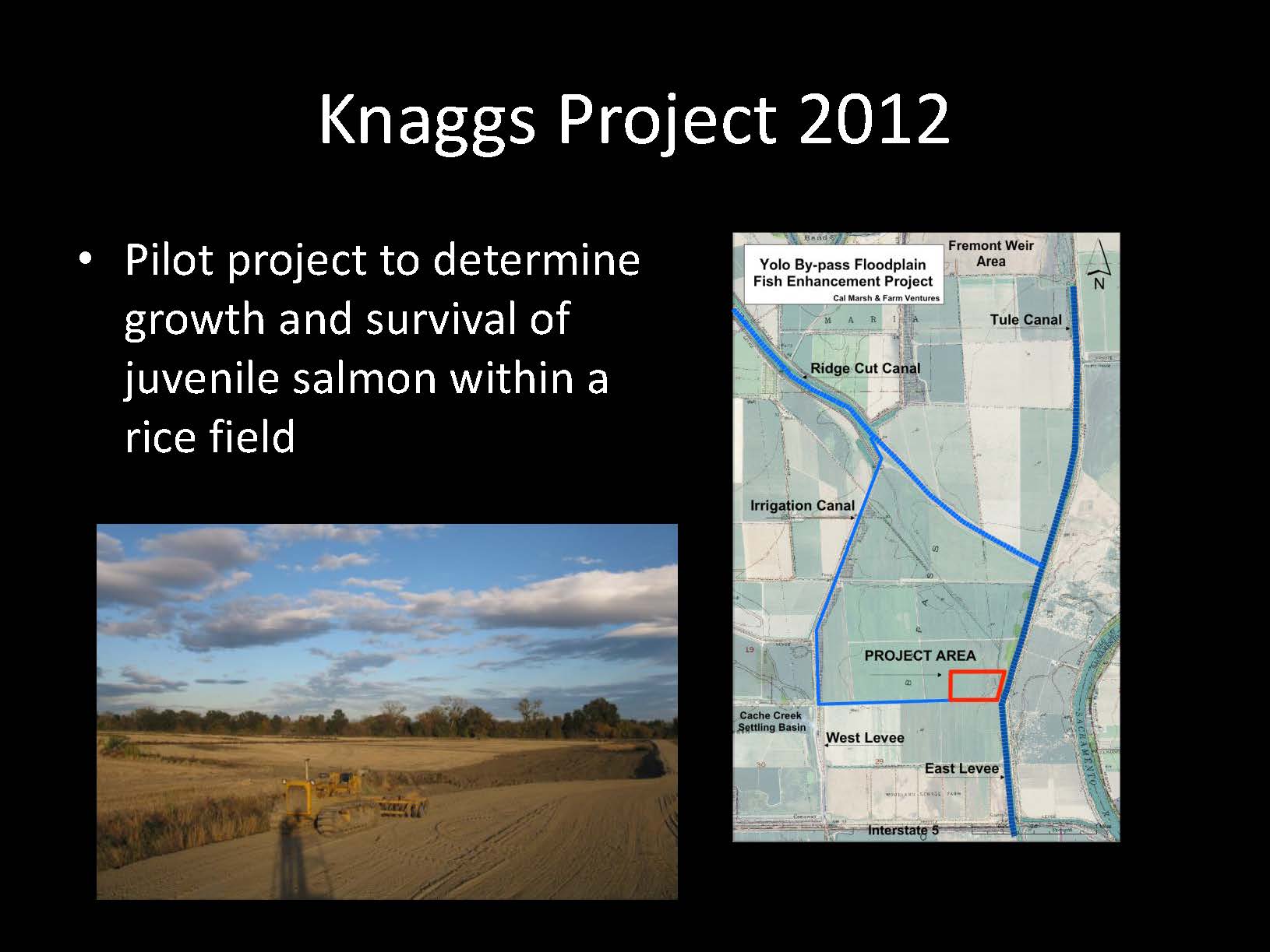 Jeffres_AMF19_Page_04