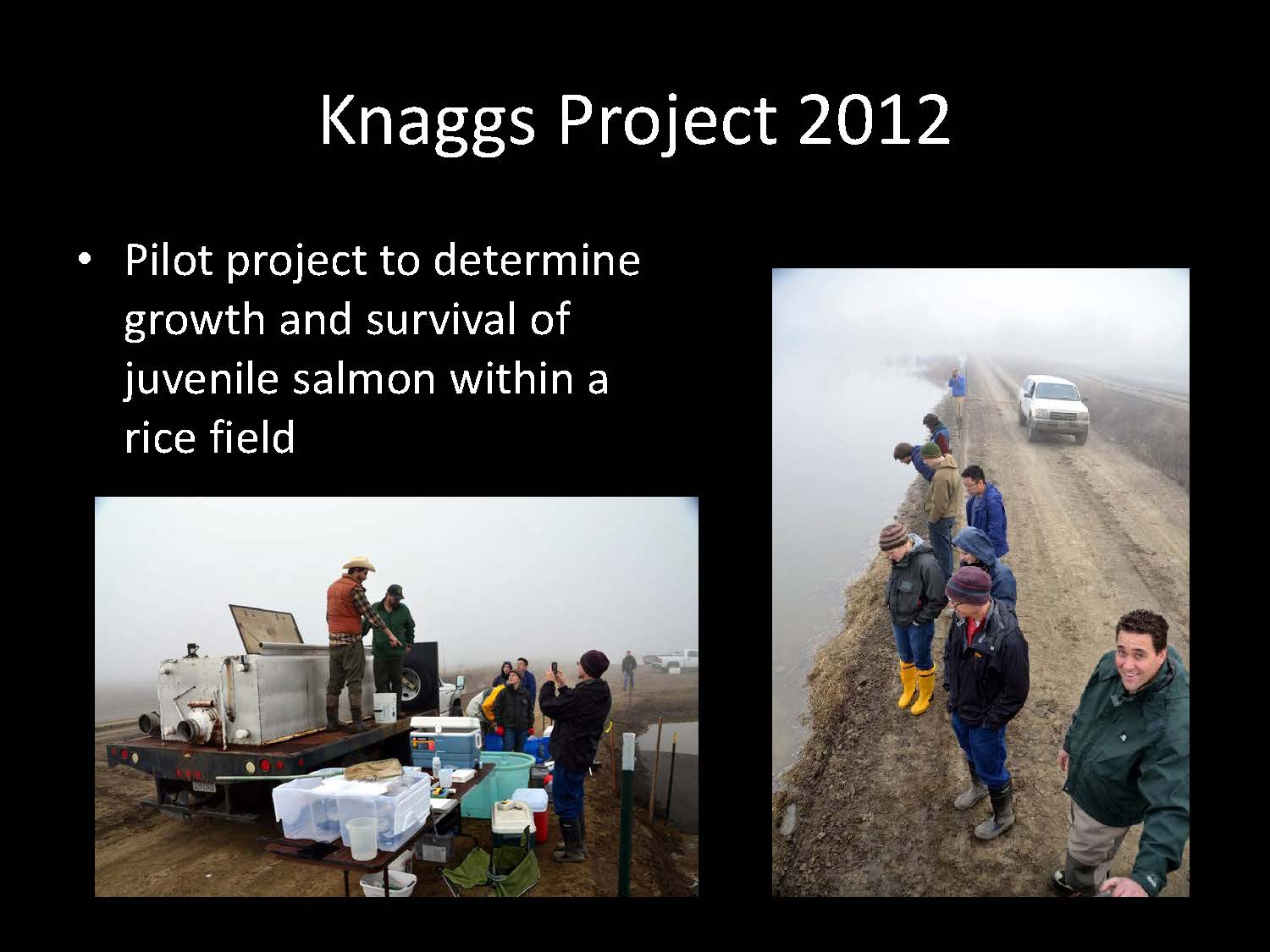 Jeffres_AMF19_Page_05