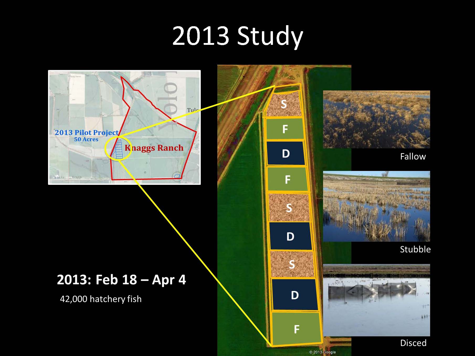 Jeffres_AMF19_Page_09