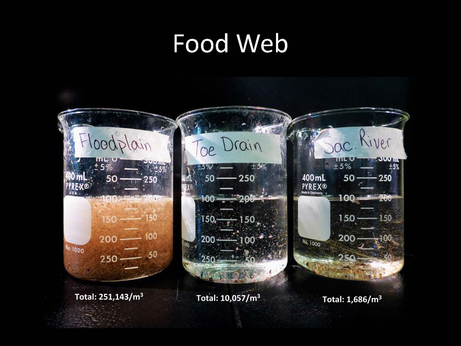 Jeffres_AMF19_Page_22