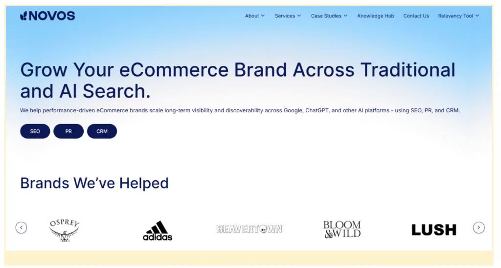 e-commerce SEO agencies - Comment
