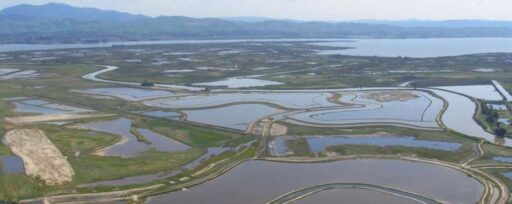 ADAPTIVE MANAGEMENT FORUM, Part 4: Case studies from the Bay Delta system ~ MAVEN'S NOTEBOOK