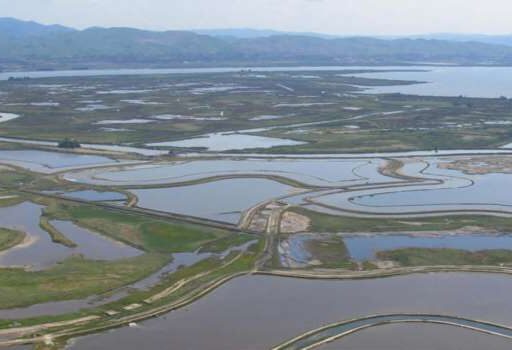 ADAPTIVE MANAGEMENT FORUM, Part 4: Case studies from the Bay Delta system ~ MAVEN'S NOTEBOOK