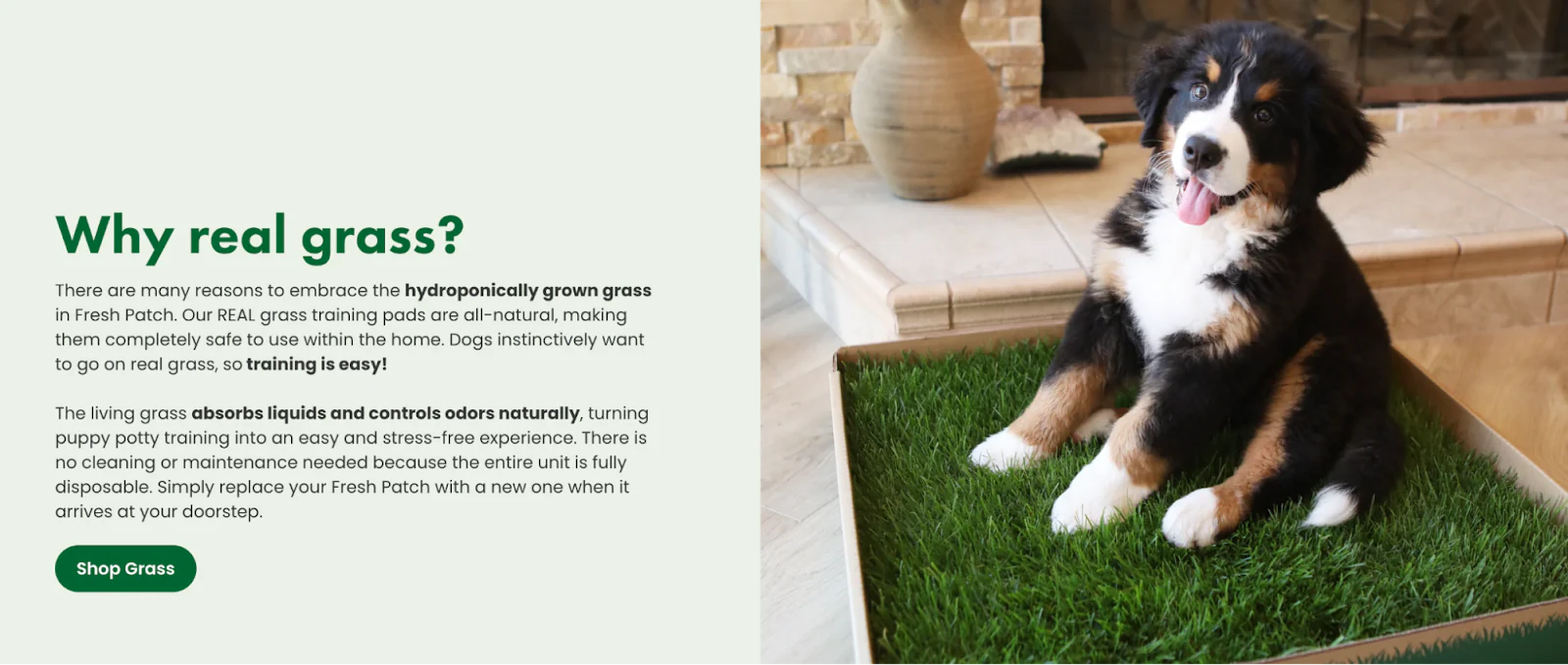 Website banner explaining the benefits of Real Patch pee pads, made from real grass, featuring a photo of a puppy on a training patch.