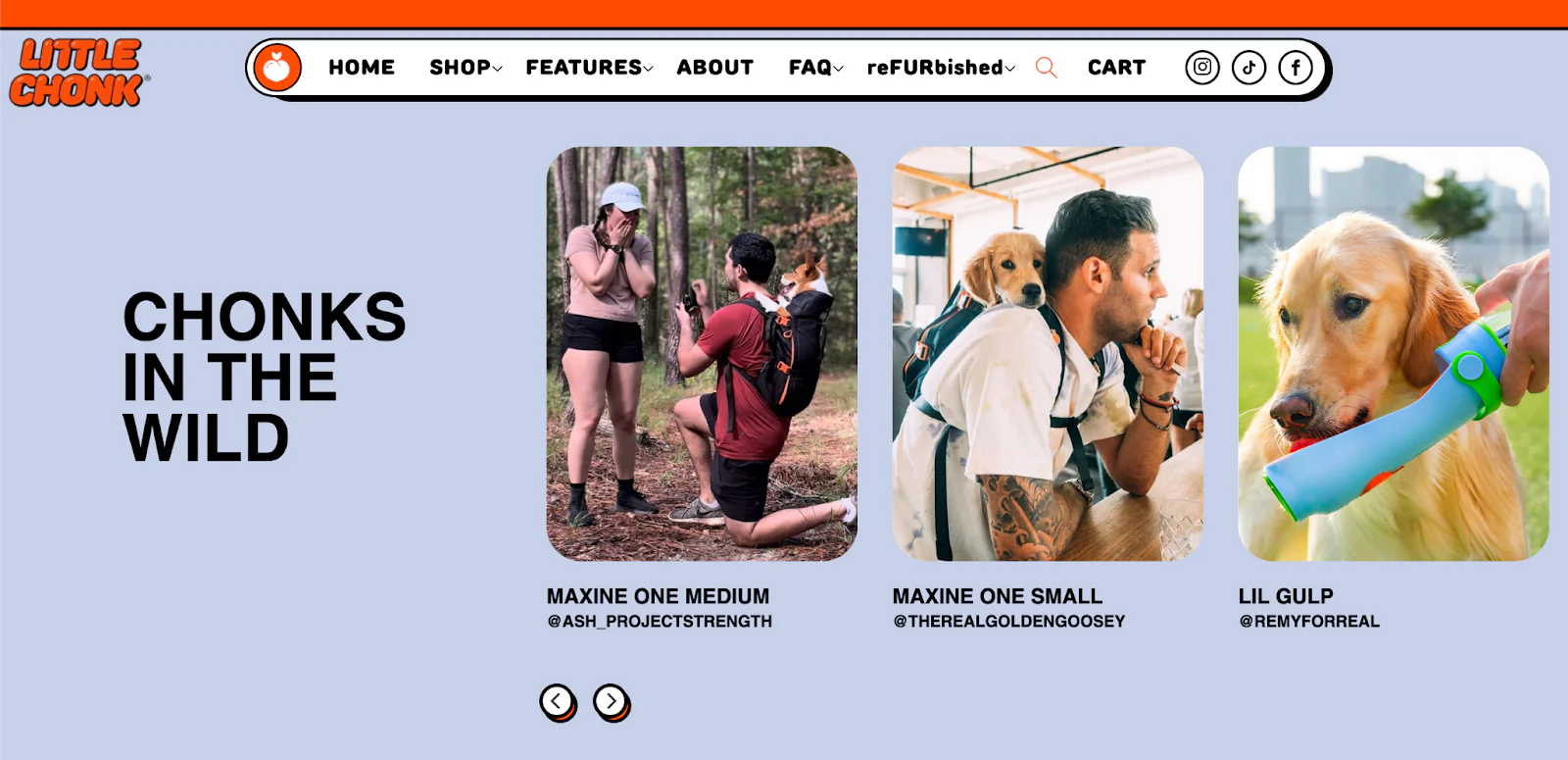 Little Chonk’s website features user-generated content from accounts like therealgoldengoosey.