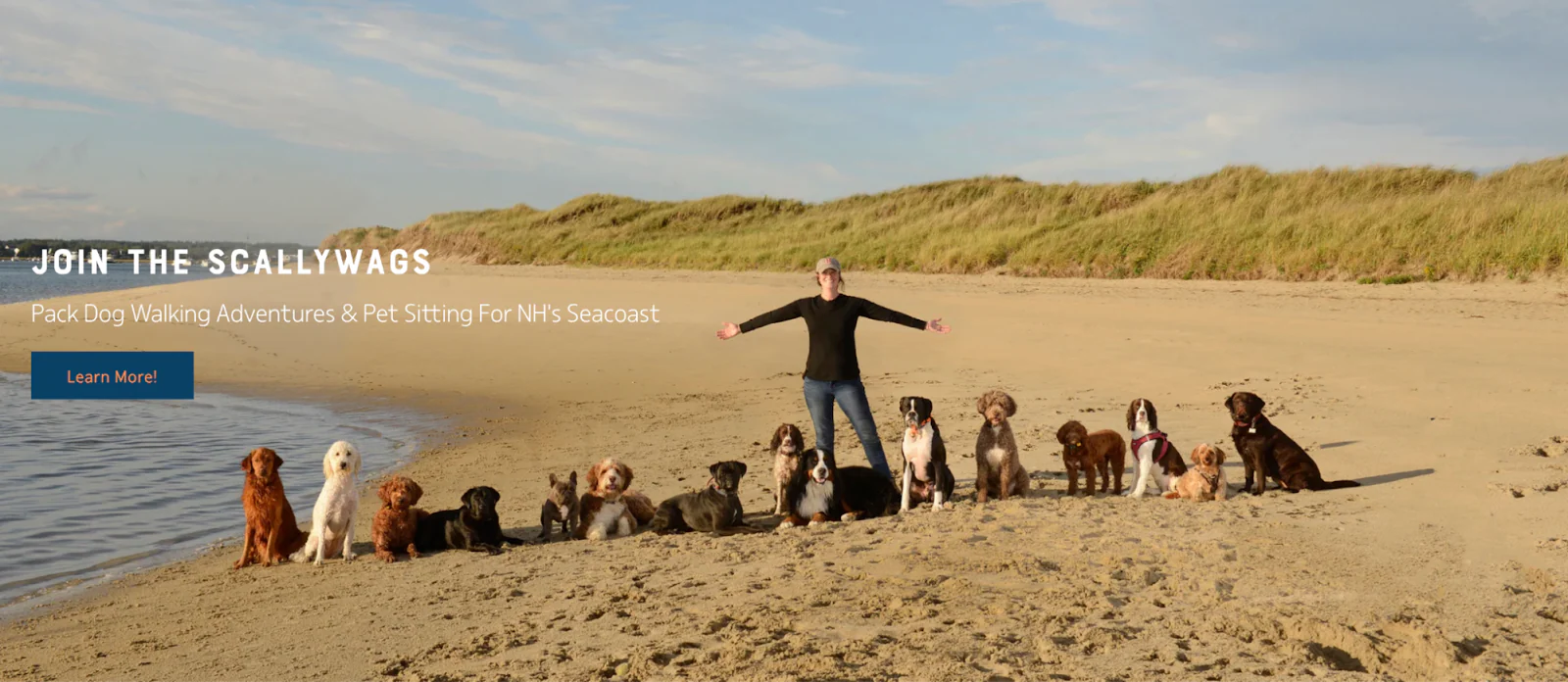Photographic banner ad from Salty Paws promoting its coastal dog adventures, featuring a dog walker at the beach surrounded by 15 dogs.