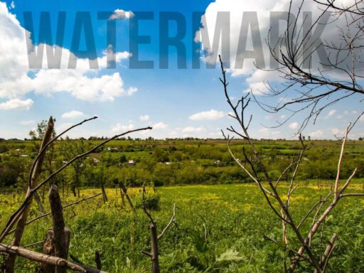 How to Watermark Images in WordPress Automatically