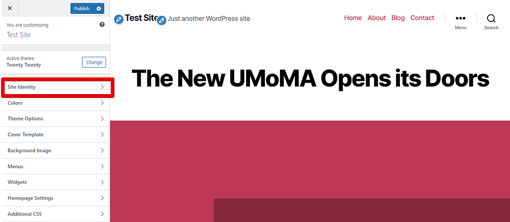 Editing the Site Identity tab in the WordPress Customizer.